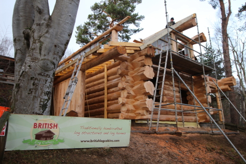Pinebank Highlands log cabin design
